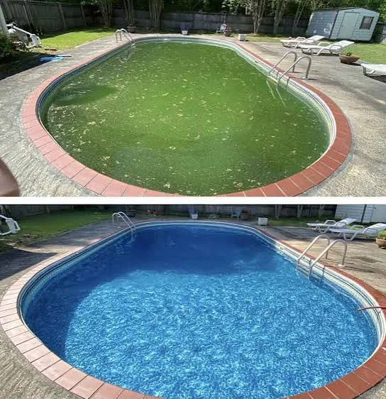 Green algae-filled pool before treatment and the same pool clear and blue after
