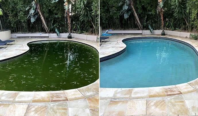 Green swampy pool beside sandstone paving, and the same pool clear after recovery
